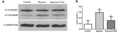 5bffb334b669a.png image.png