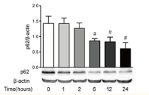 5bffb37a54bc9.png image.png