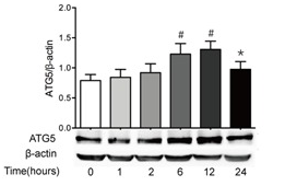 5bffb3b981cdb.png image.png