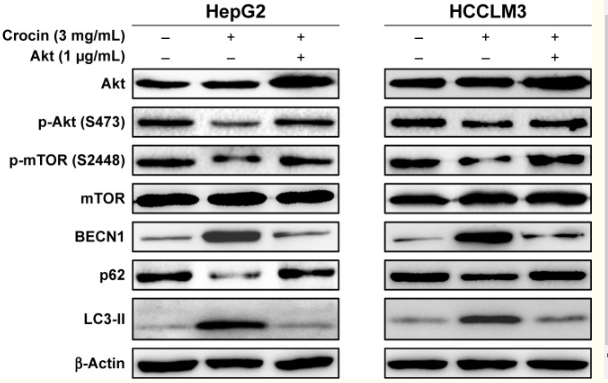 5bffb4876fee4.png image.png