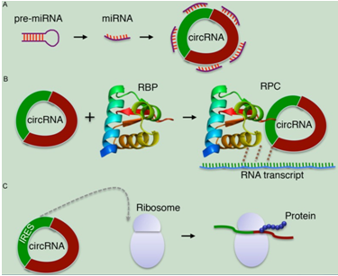 5bffa65f1e099.png image.png