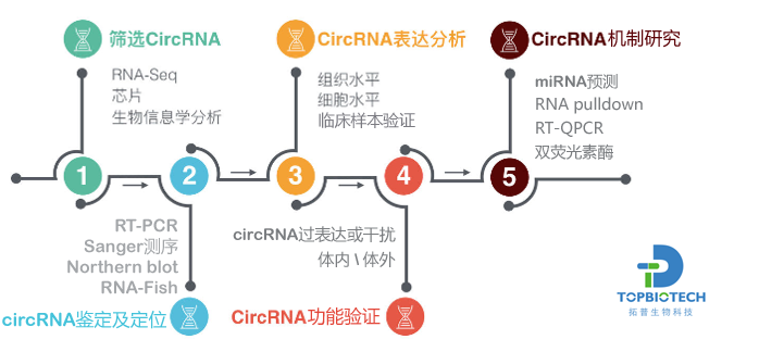 5bffa692b2599.png image.png