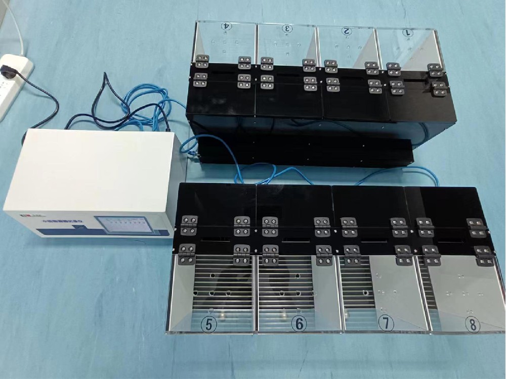 明暗箱穿梭实验