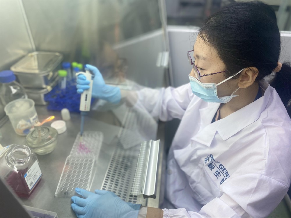 慢病毒细胞转染