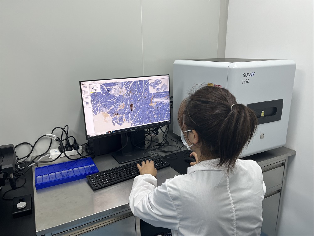 数字切片全景扫描