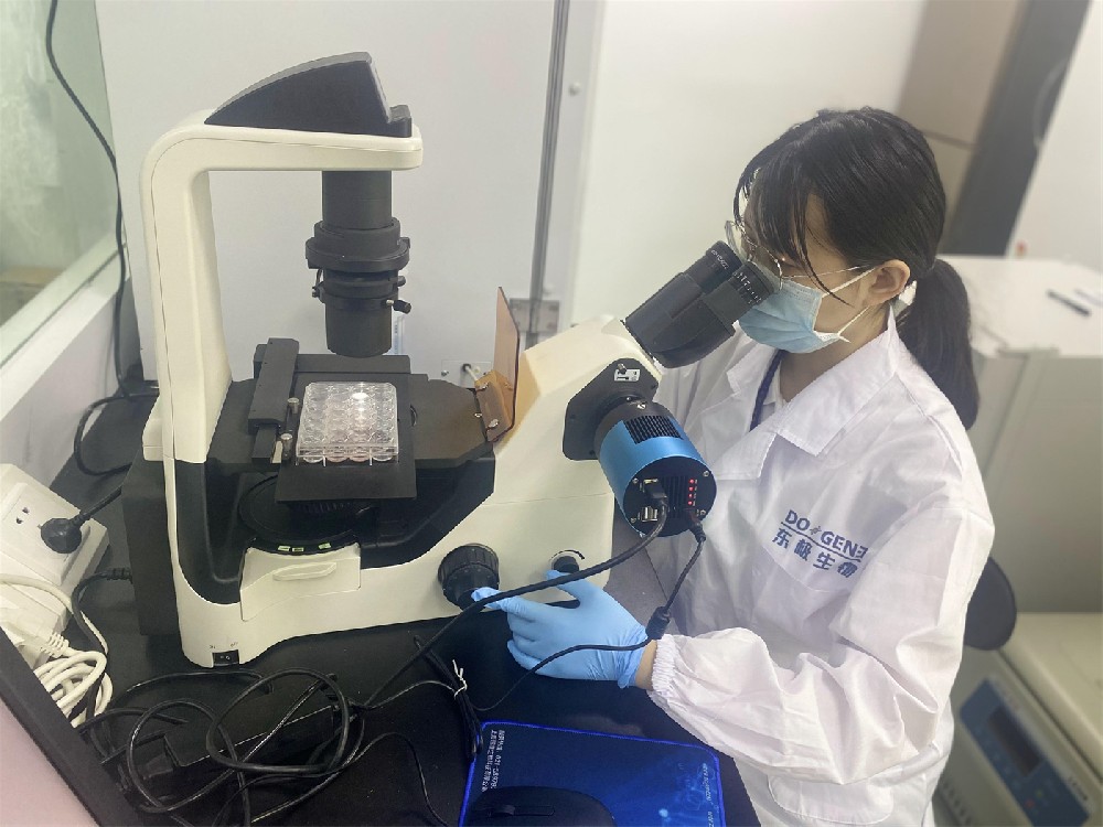 肿瘤细胞功能检测